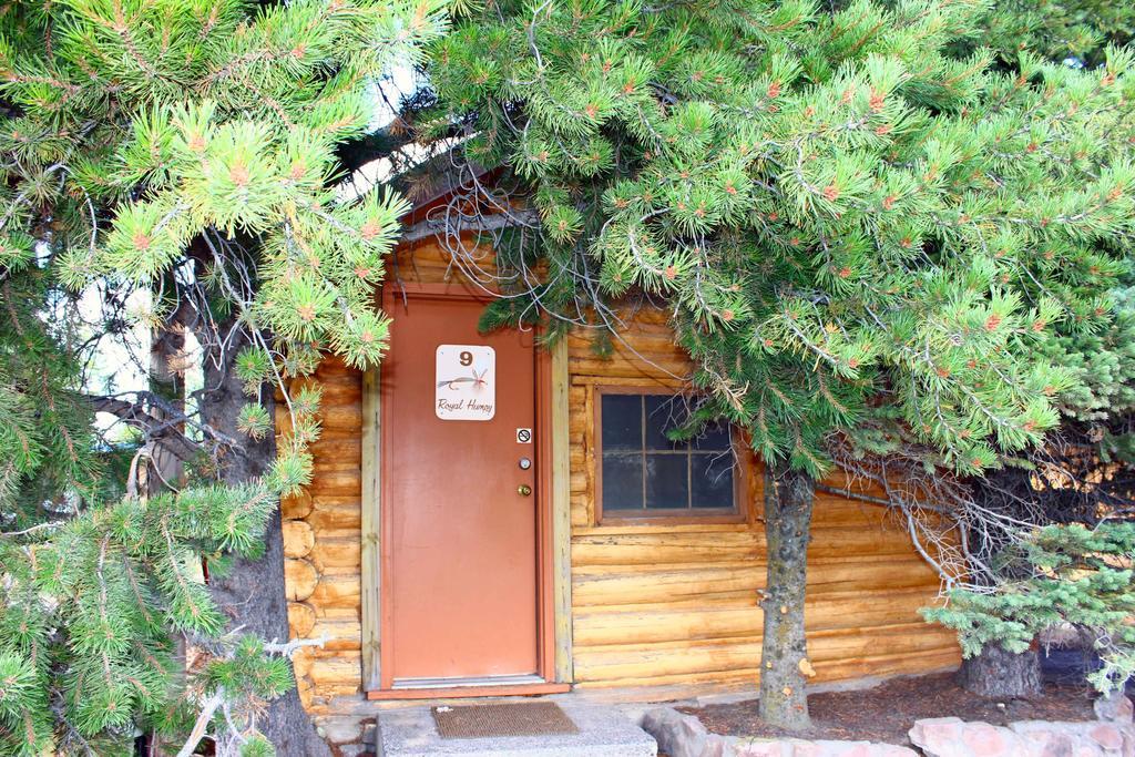 Sleepy Hollow Lodge West Yellowstone Room photo